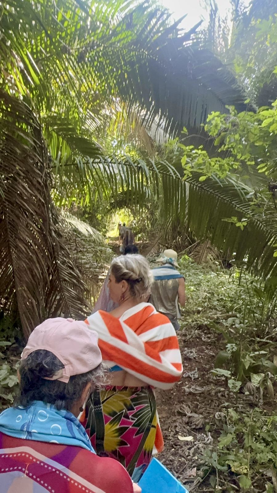 Walking a jungle path together