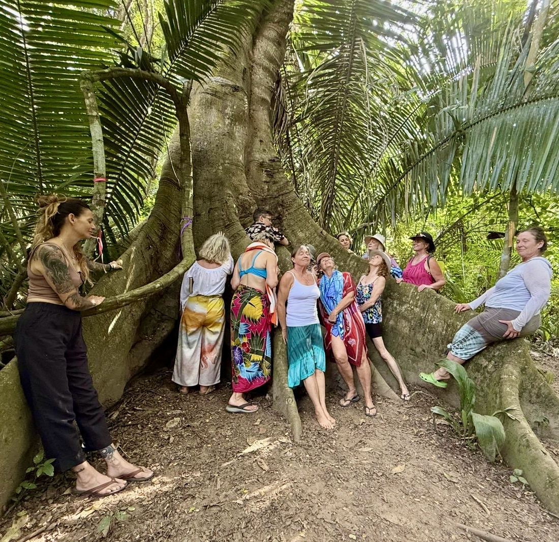 Women gathered at the base of a great tree