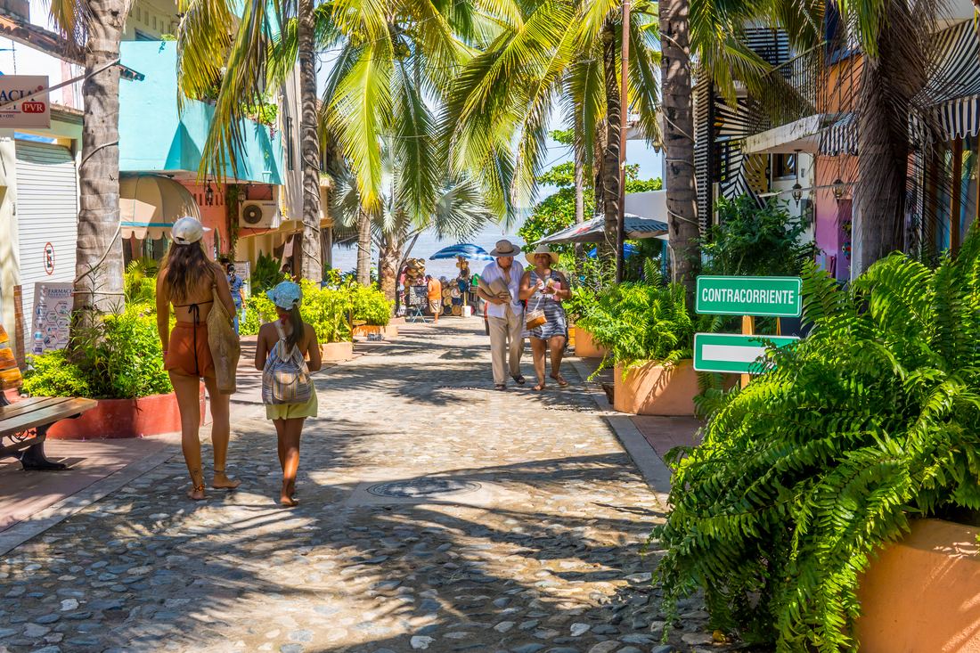 A palm-lined street in town
